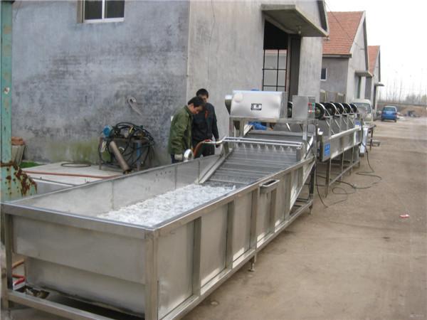 水果蔬菜清洗機