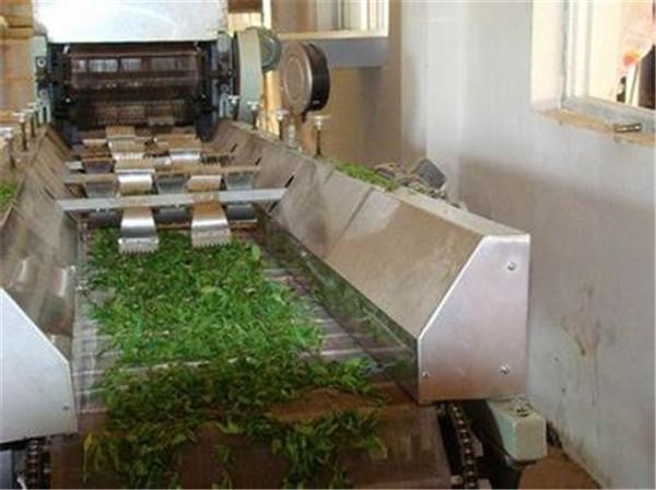 鏈板烘干機